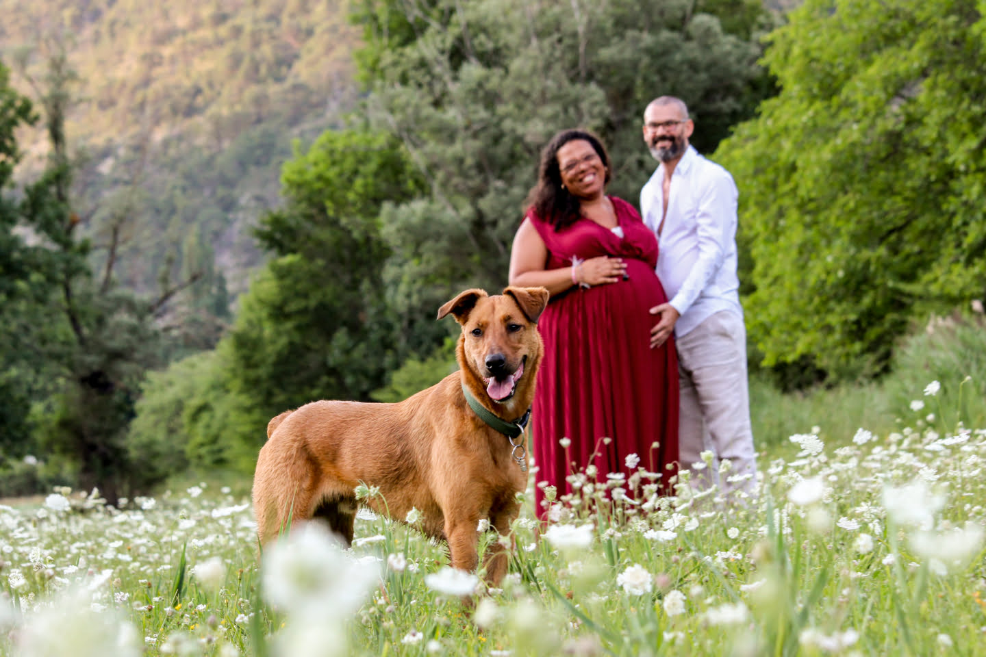 Belles photos de grossesse en extérieur à Grenoble avec chien