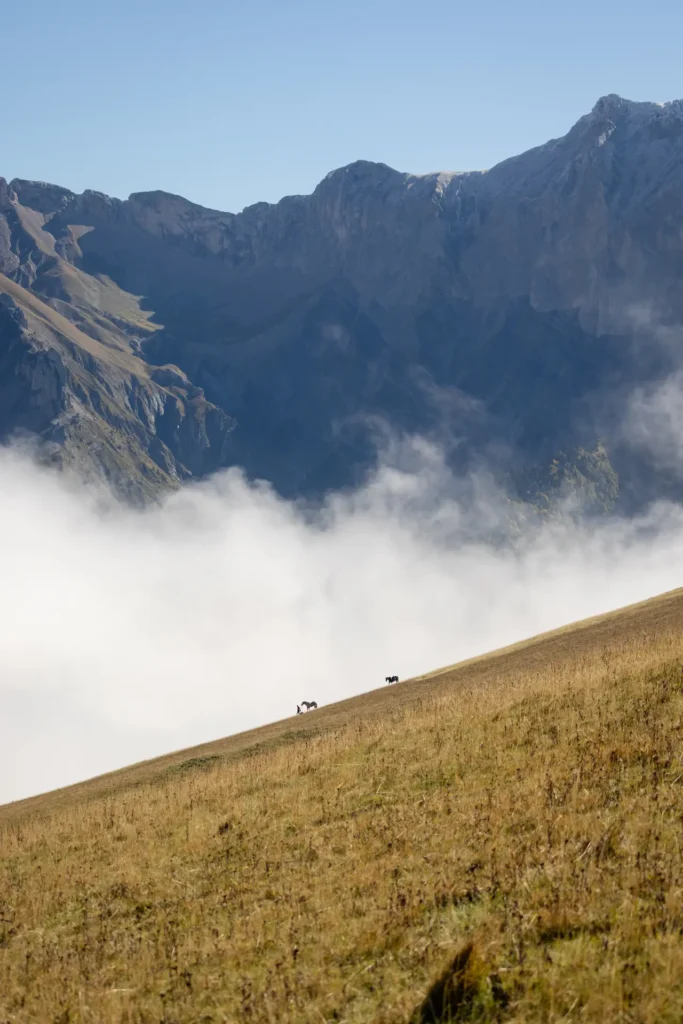 Séance portrait avec cheval dans le Trièves, près du Grand Ferrand