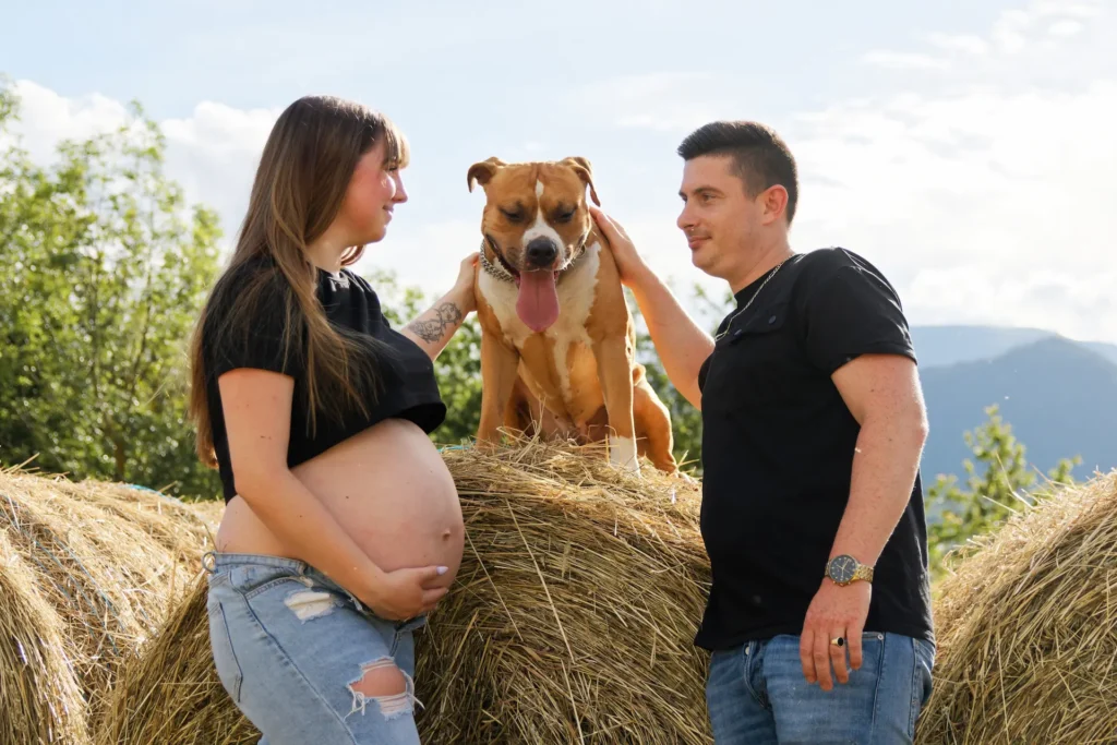 Photographe grossesse : couple avec chien près de ballots de foin en Isère